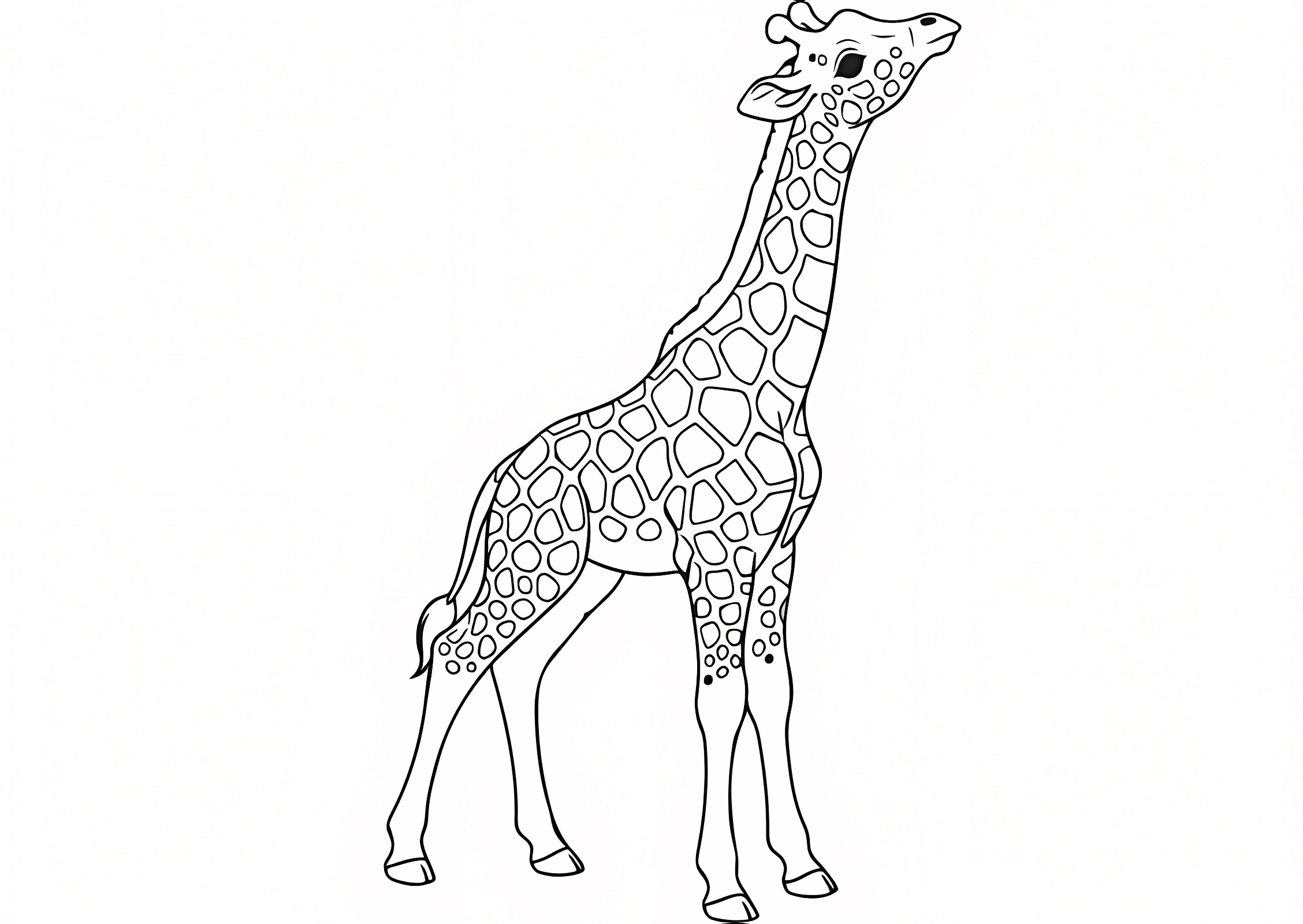 Girafe africaine — Coloriage à imprimer gratuit