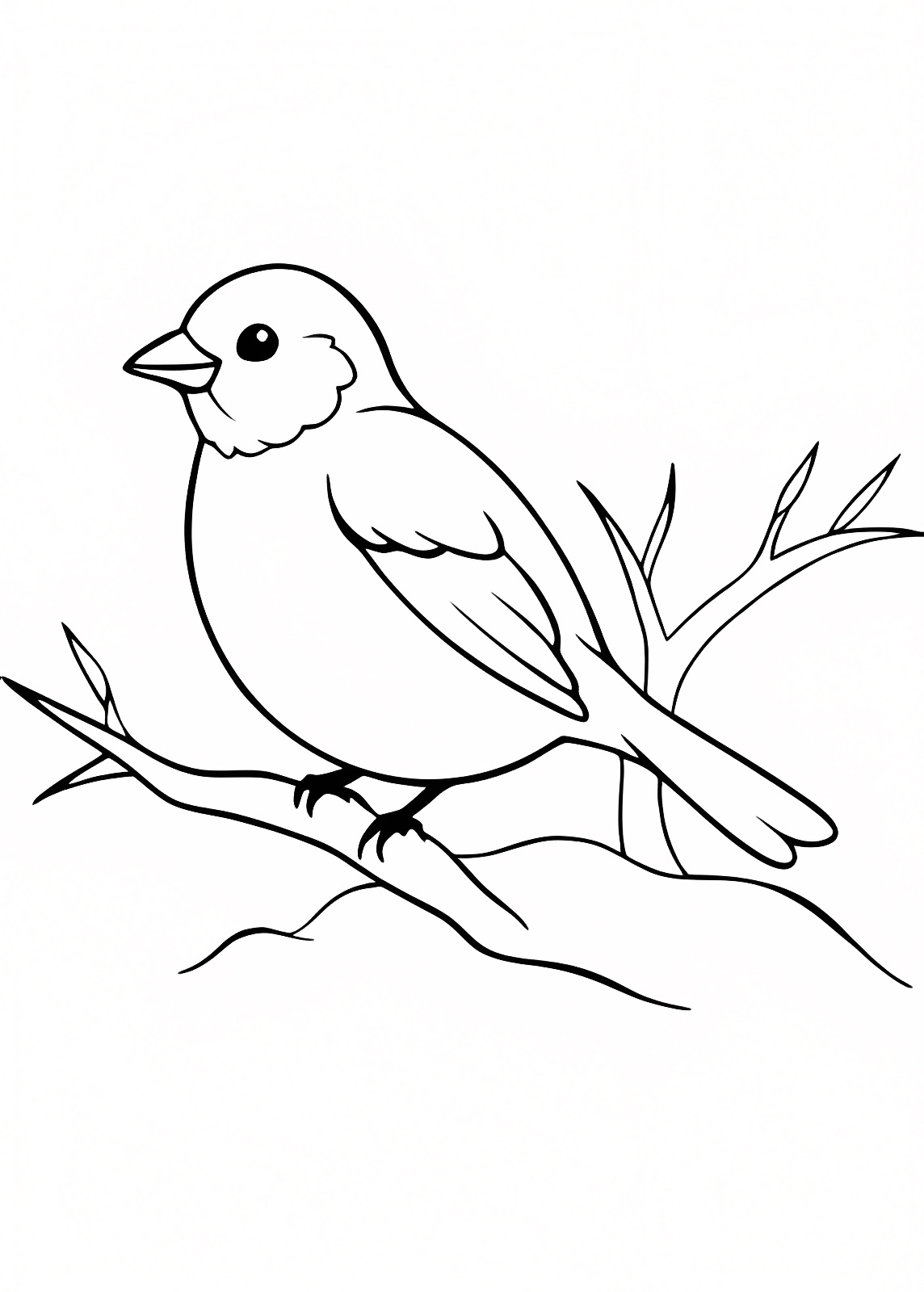 Petit oiseau sur branche — Coloriage à imprimer gratuit