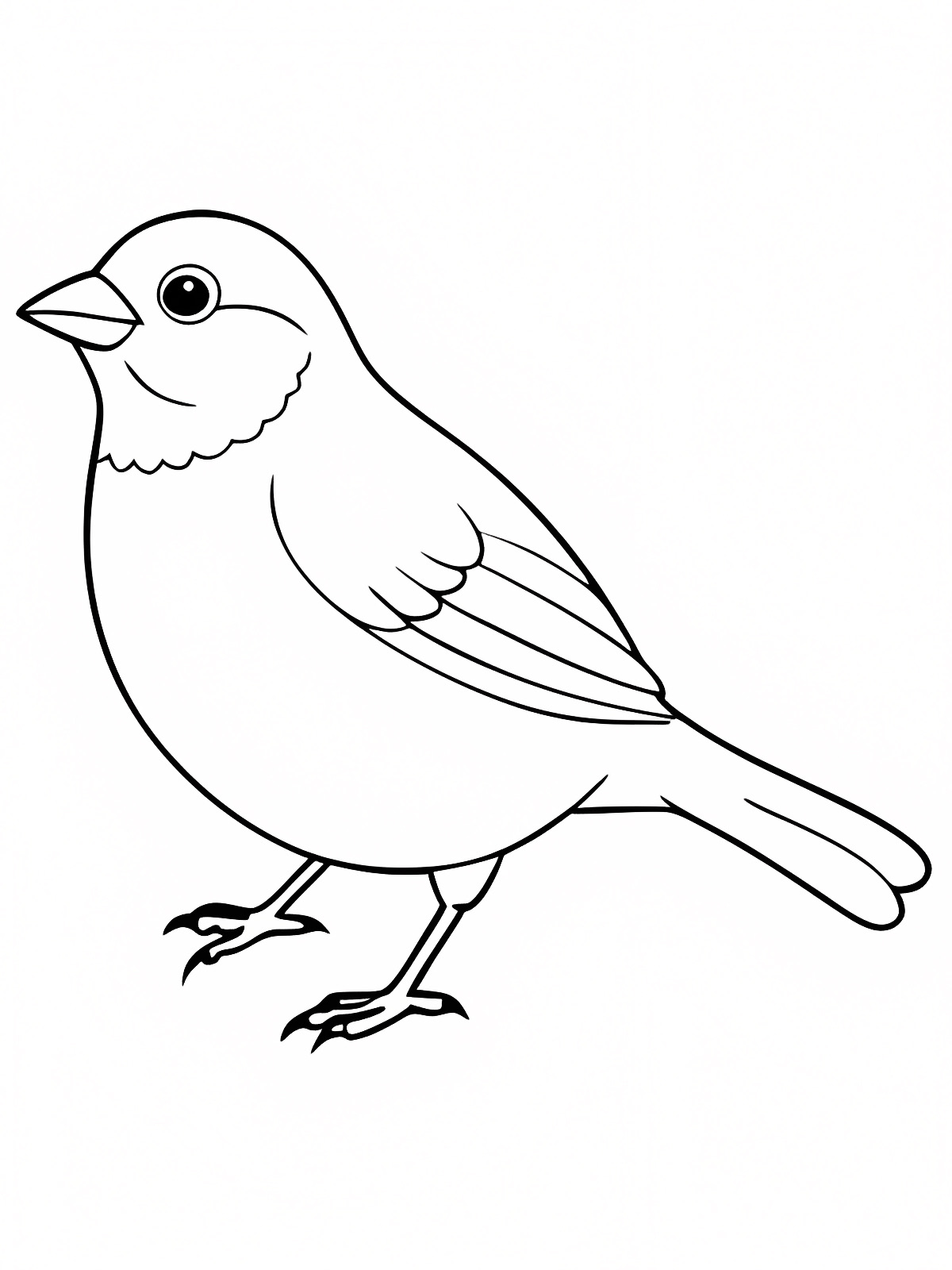 Moineau petit oiseau — Coloriage à imprimer gratuit