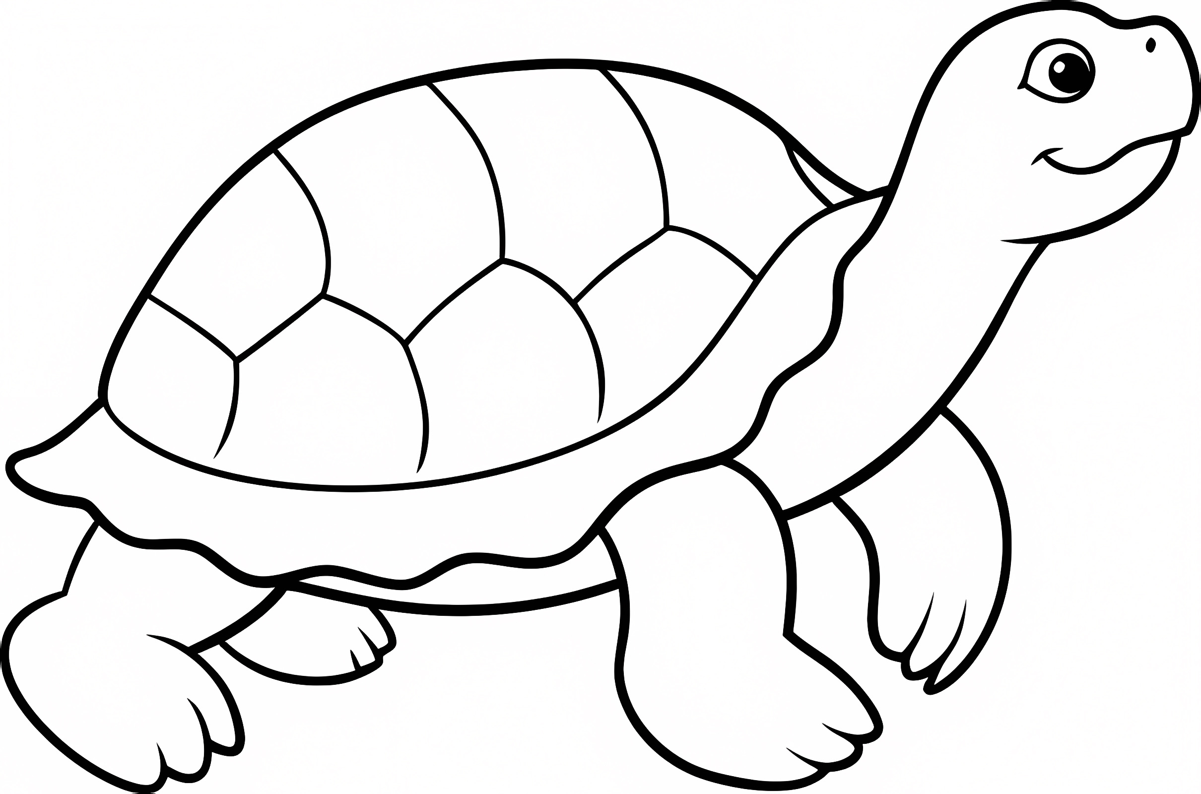 Tortue marine — Coloriage à imprimer gratuit