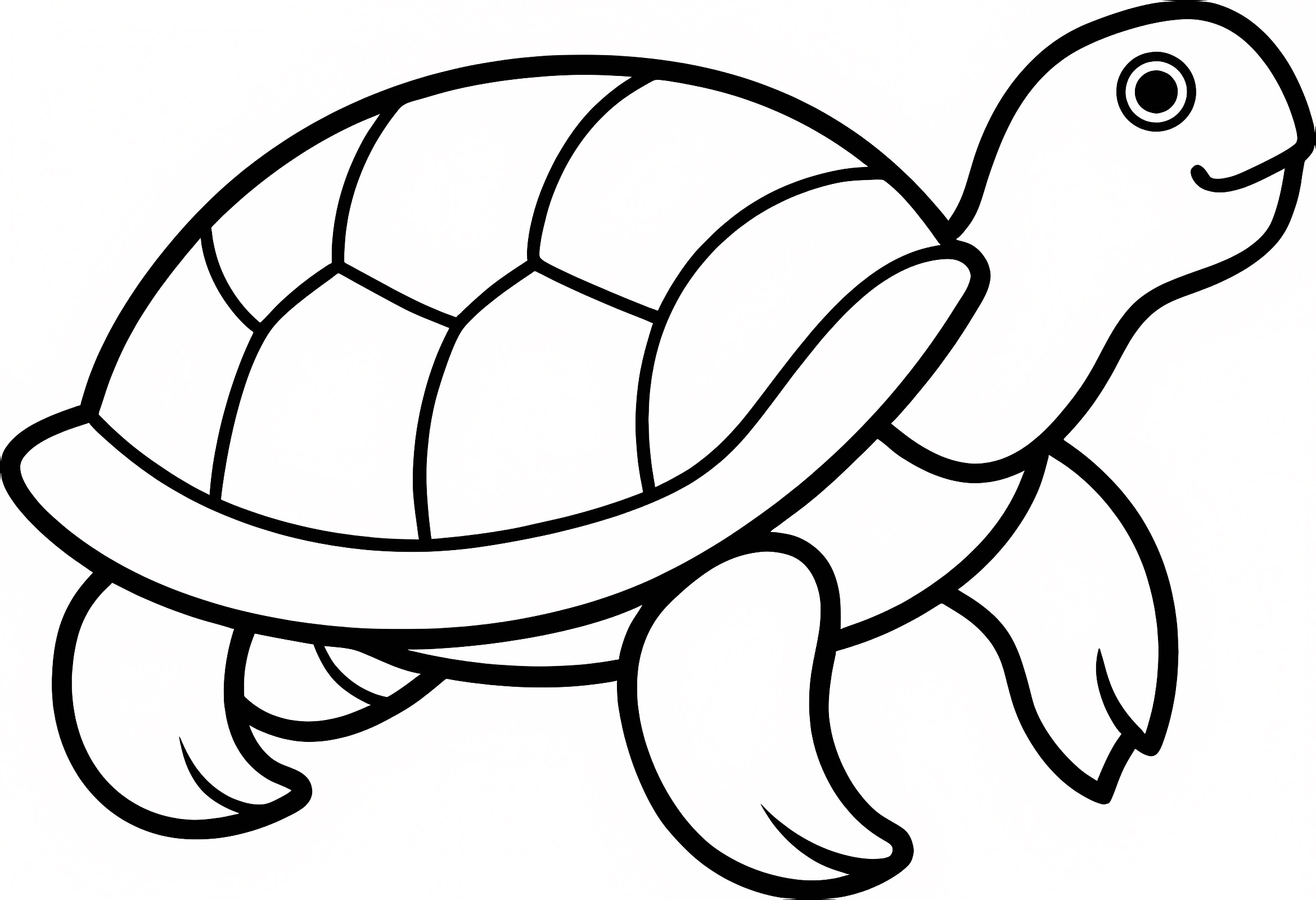Petite tortue — Coloriage à imprimer gratuit