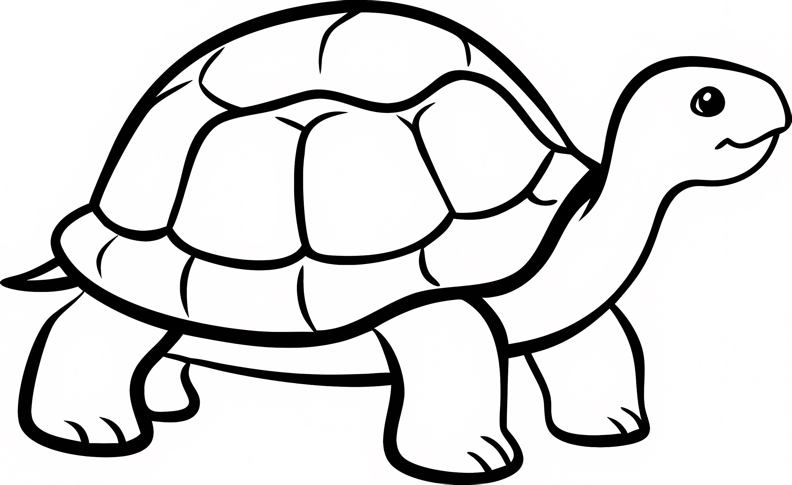 Tortue dans l'eau — Coloriage à imprimer gratuit