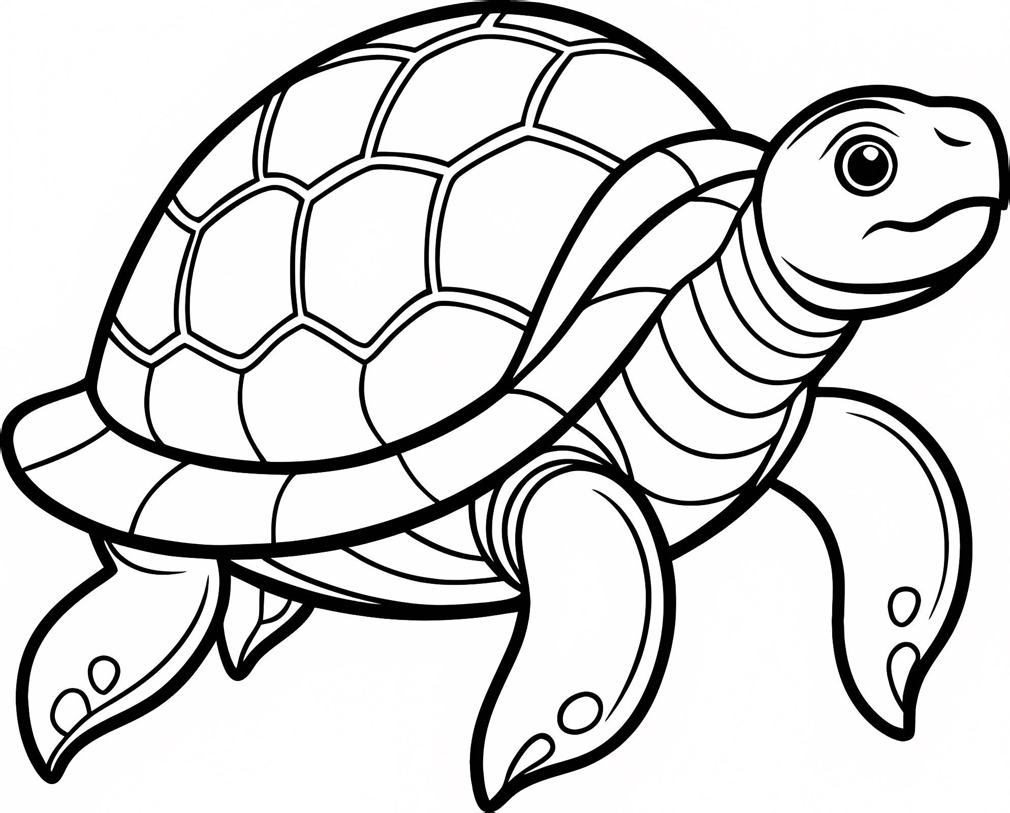 Tortue souriante — Coloriage à imprimer gratuit