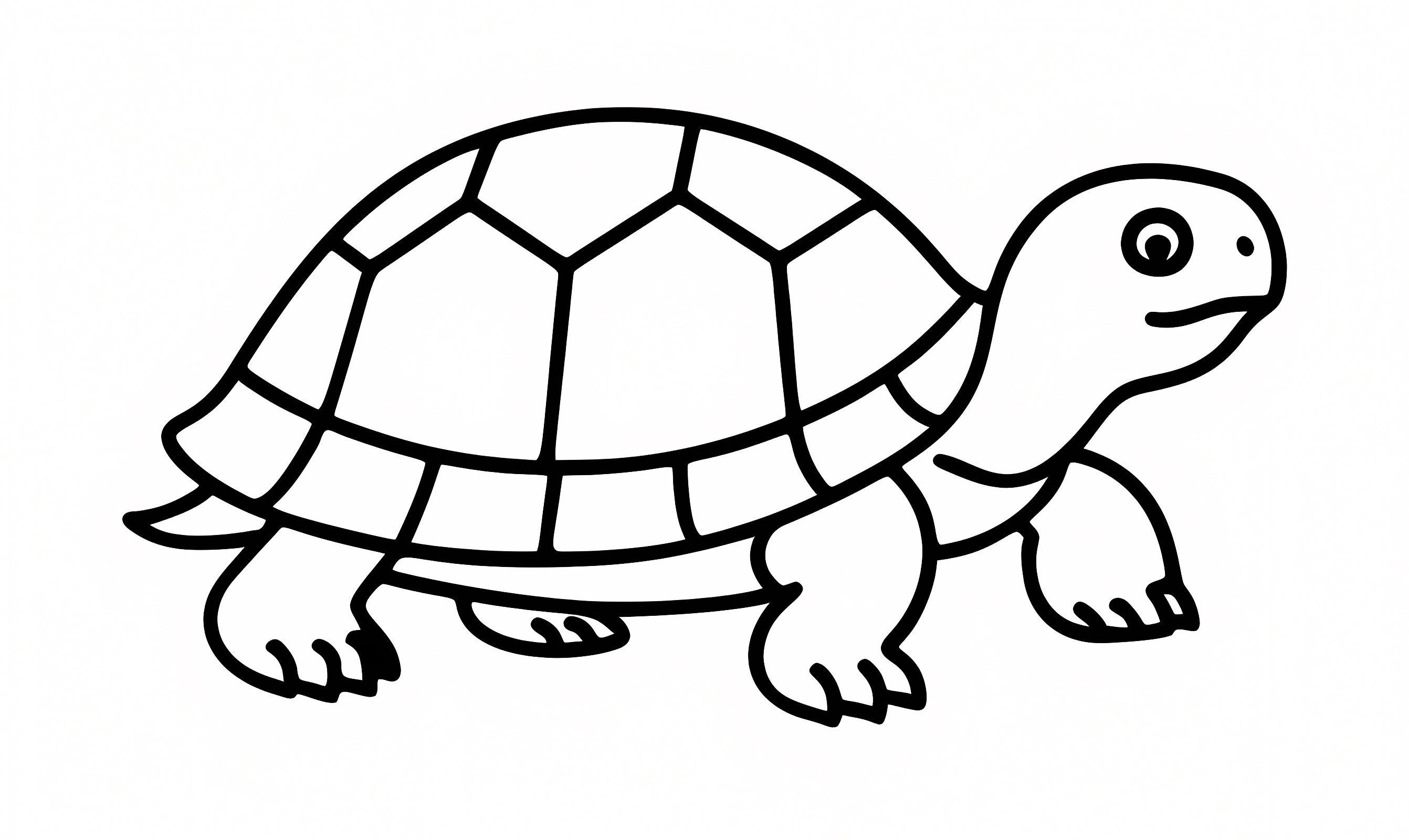 Tortue de mer — Coloriage à imprimer gratuit