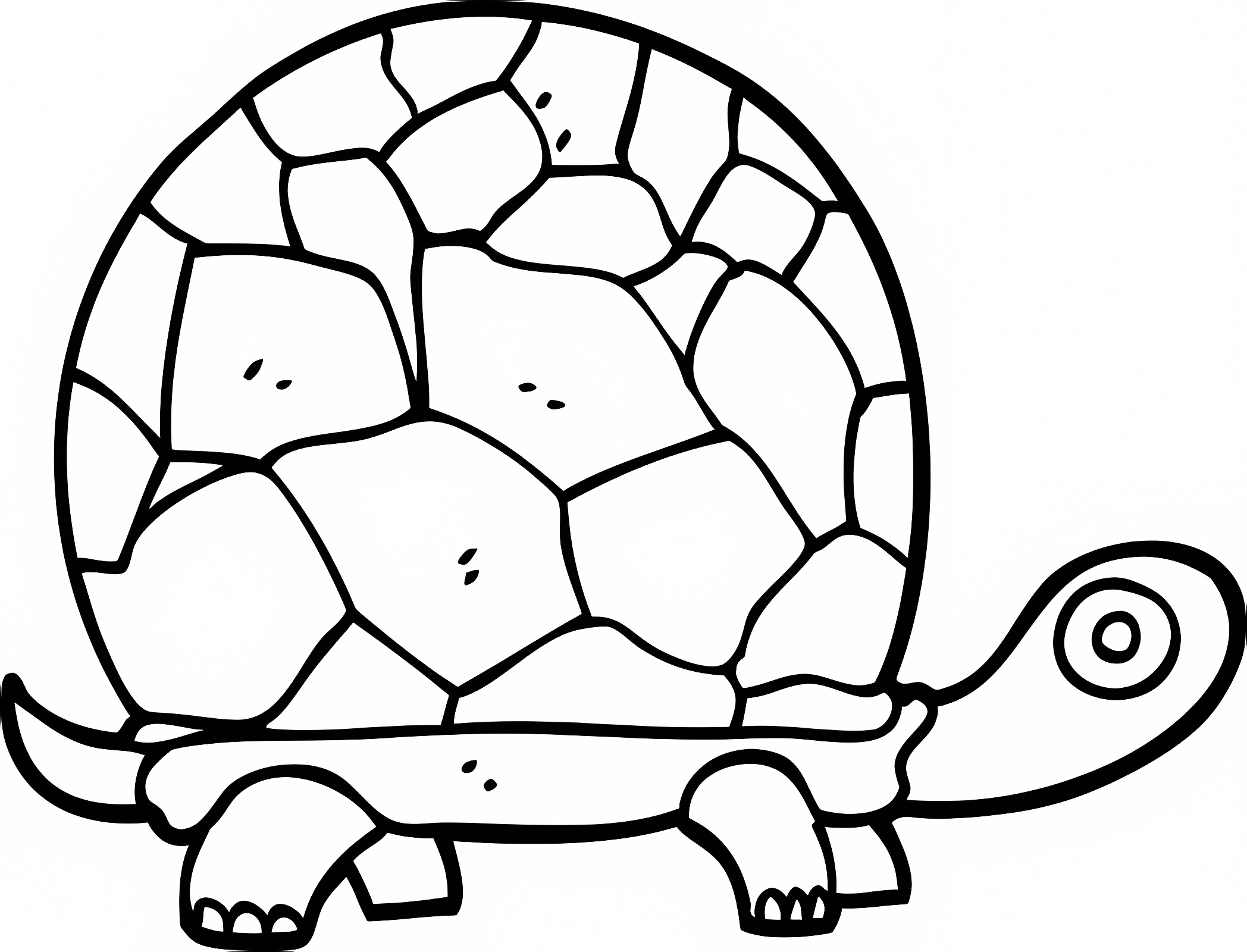 Bébé tortue — Coloriage à imprimer gratuit