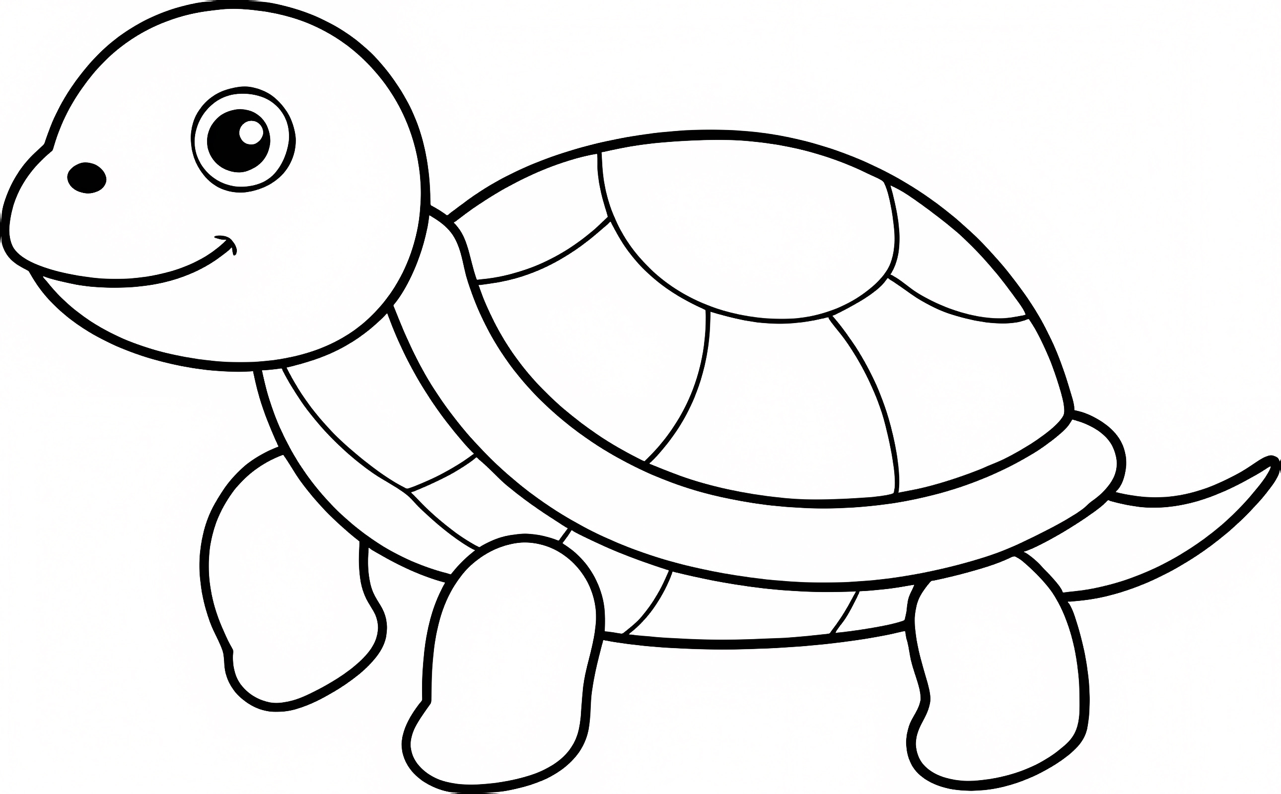 Petite tortue — Coloriage à imprimer gratuit