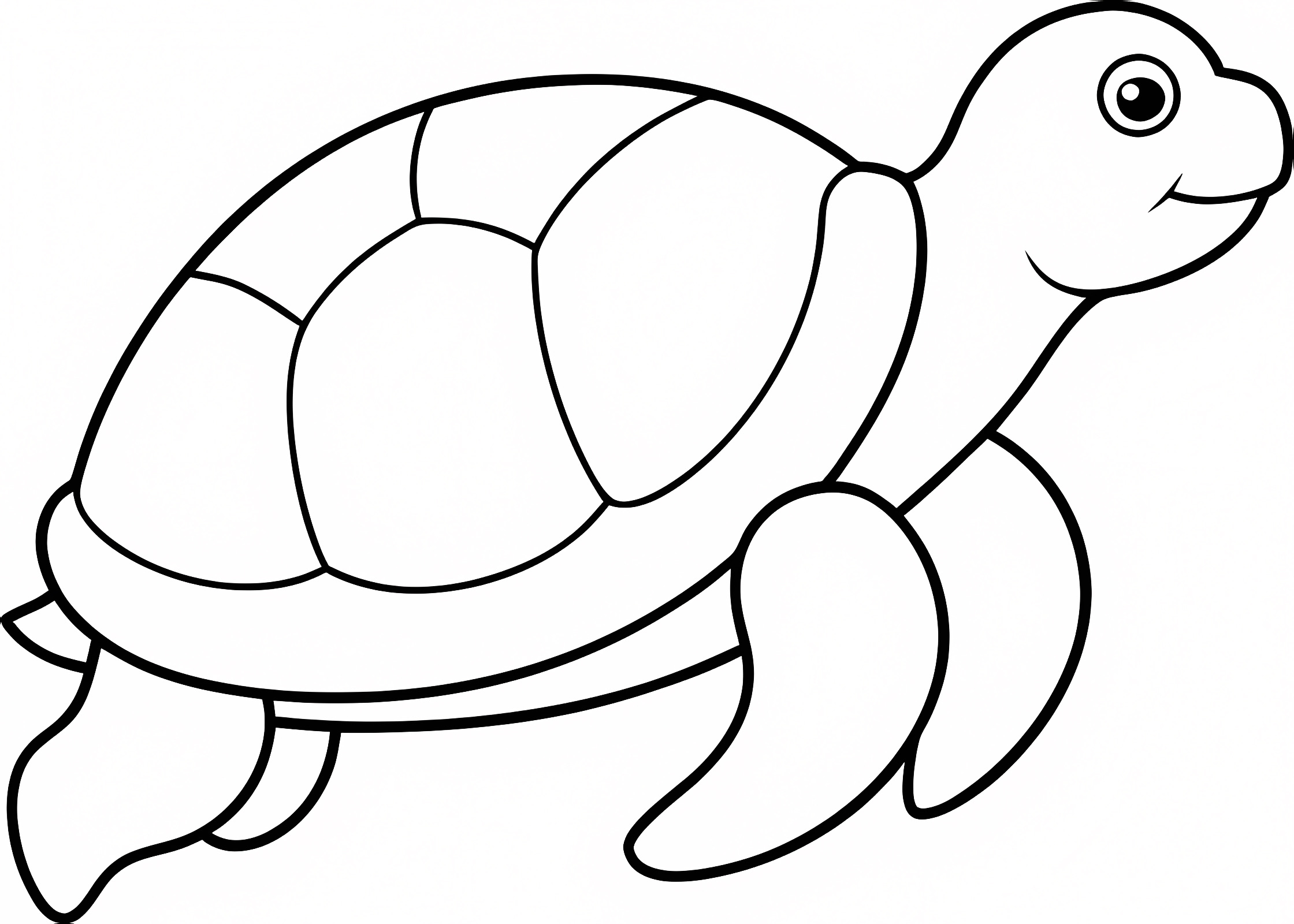Tortue mignonne — Coloriage à imprimer gratuit