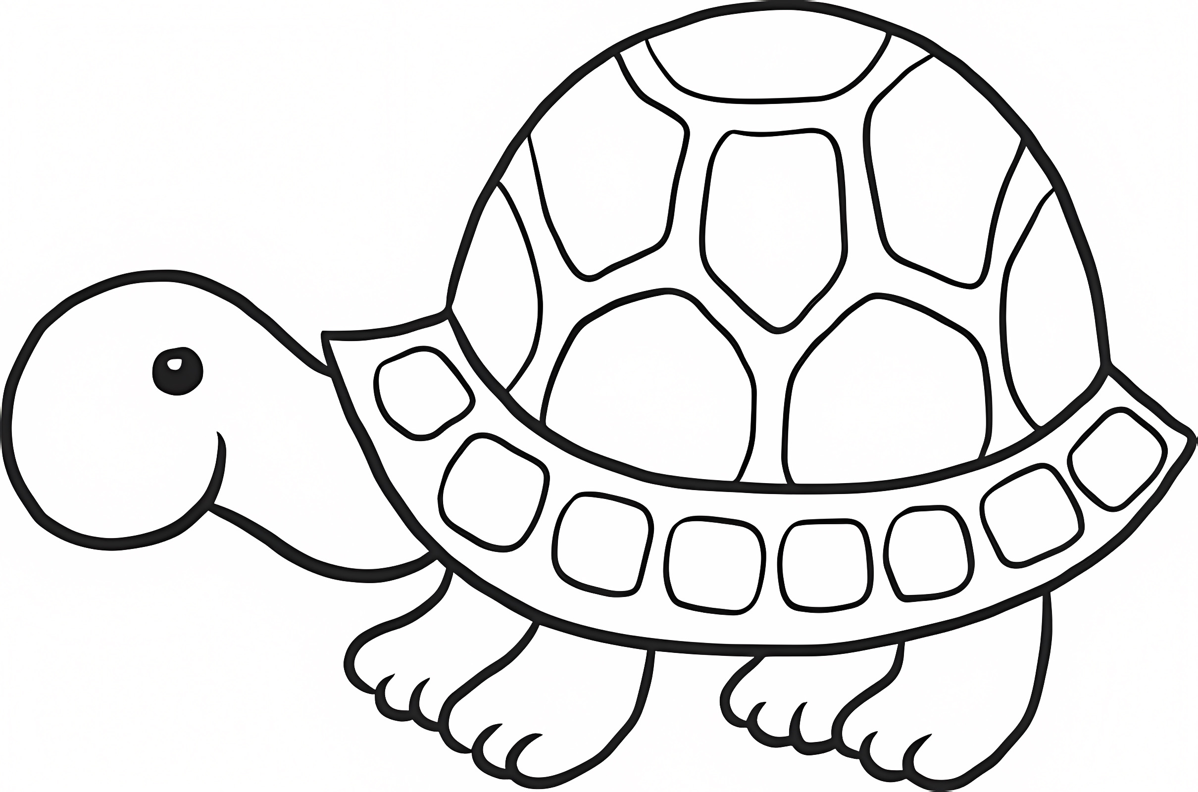 Tortue tranquille — Coloriage à imprimer gratuit