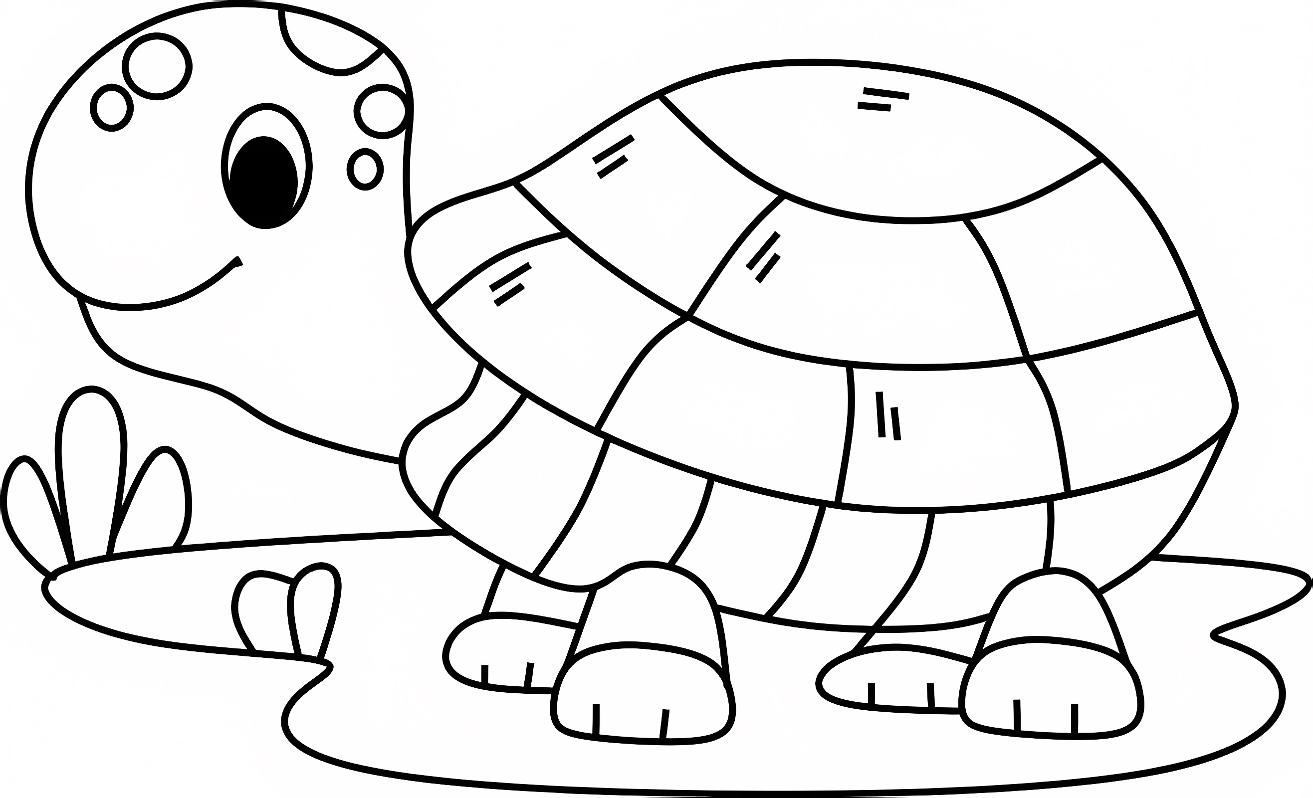 Petite tortue — Coloriage à imprimer gratuit