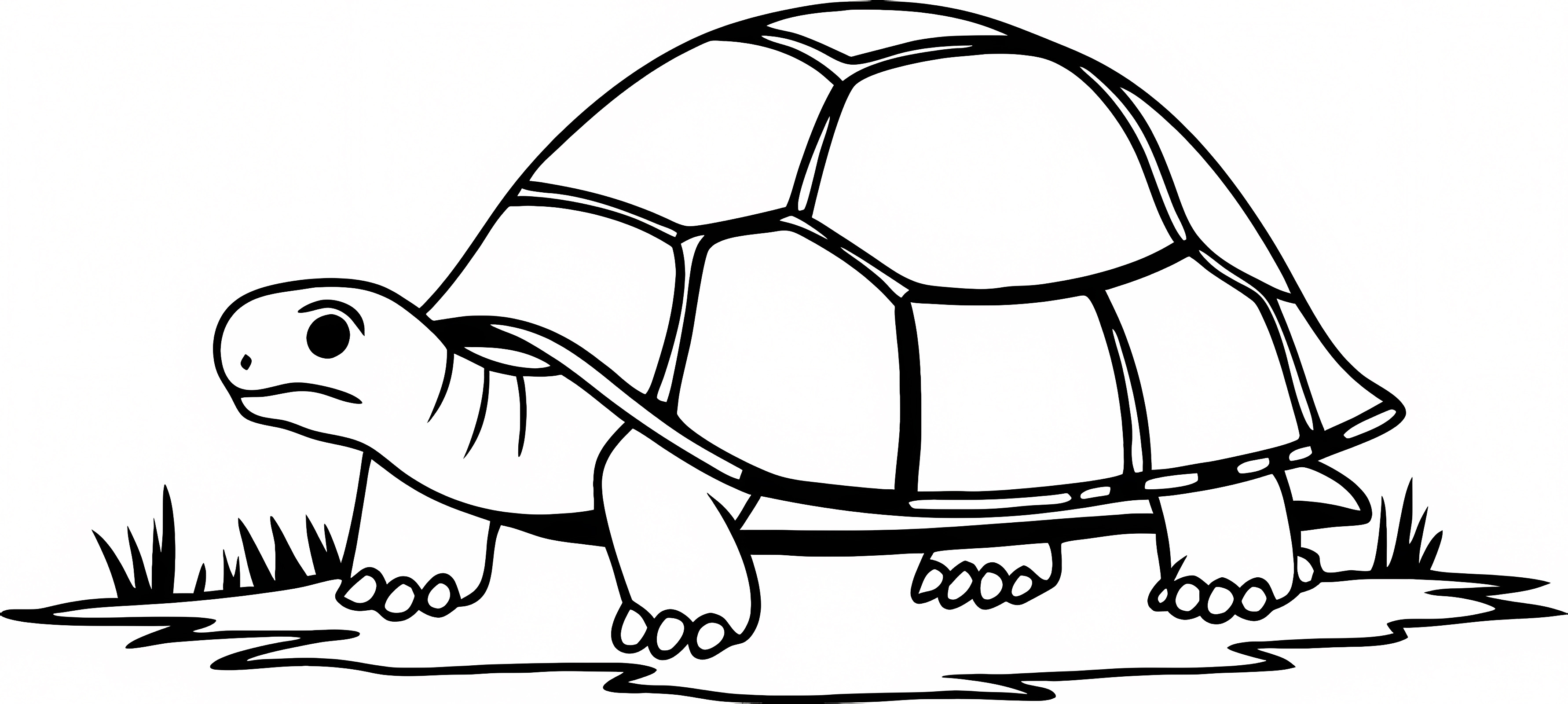 Tortue qui marche — Coloriage à imprimer gratuit