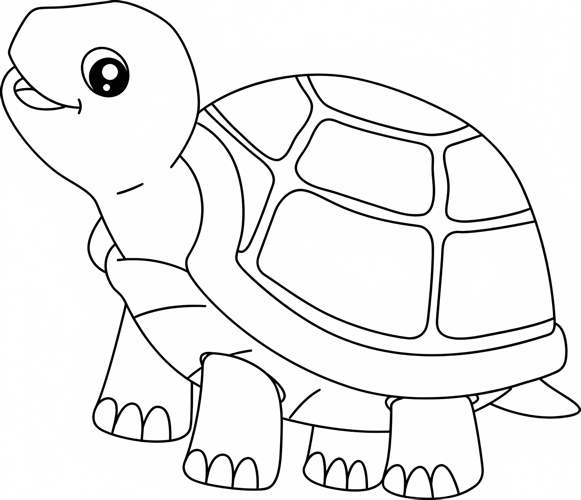 Tortue mignonne — Coloriage à imprimer gratuit