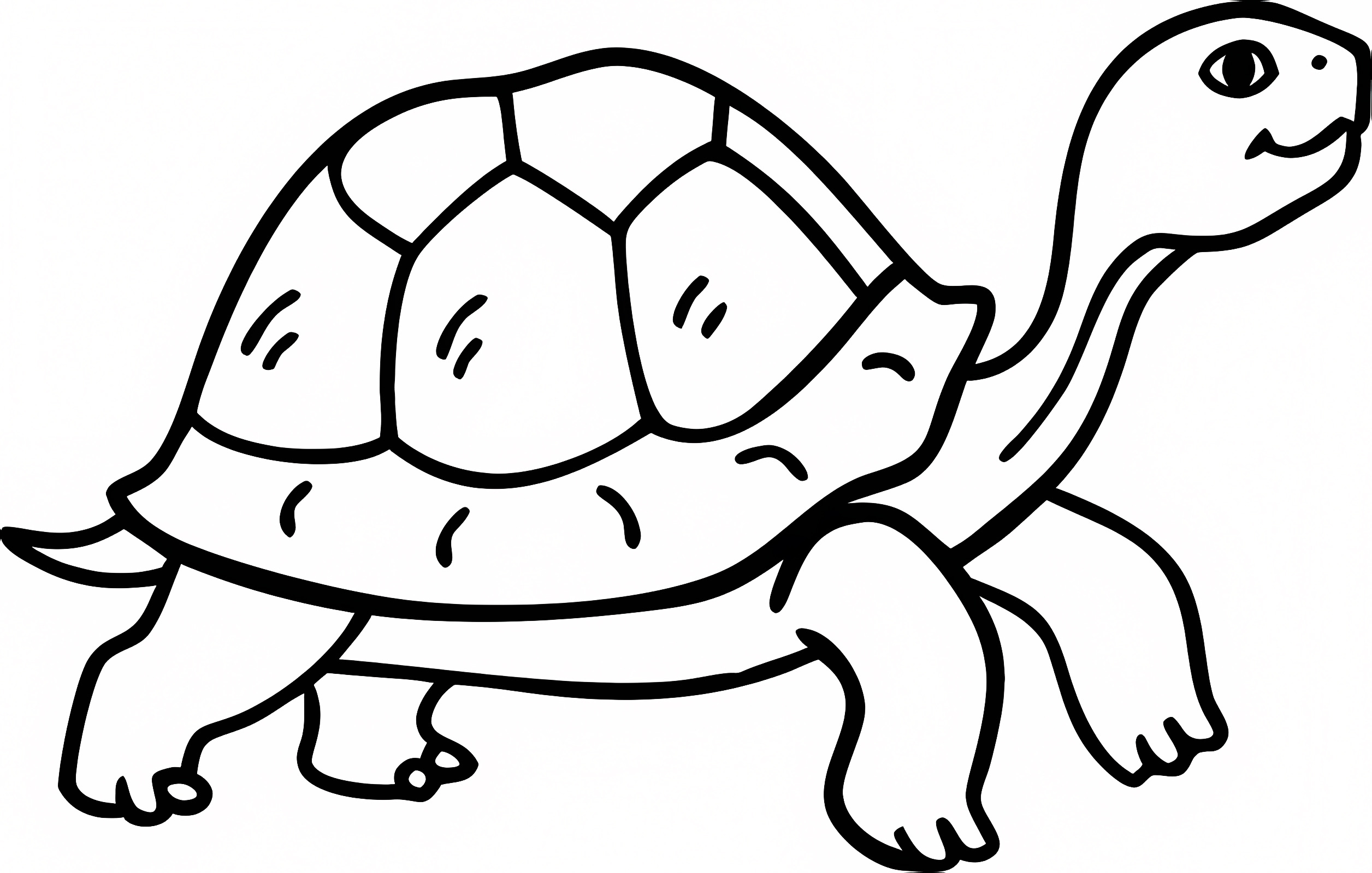 Tortue de mer — Coloriage à imprimer gratuit
