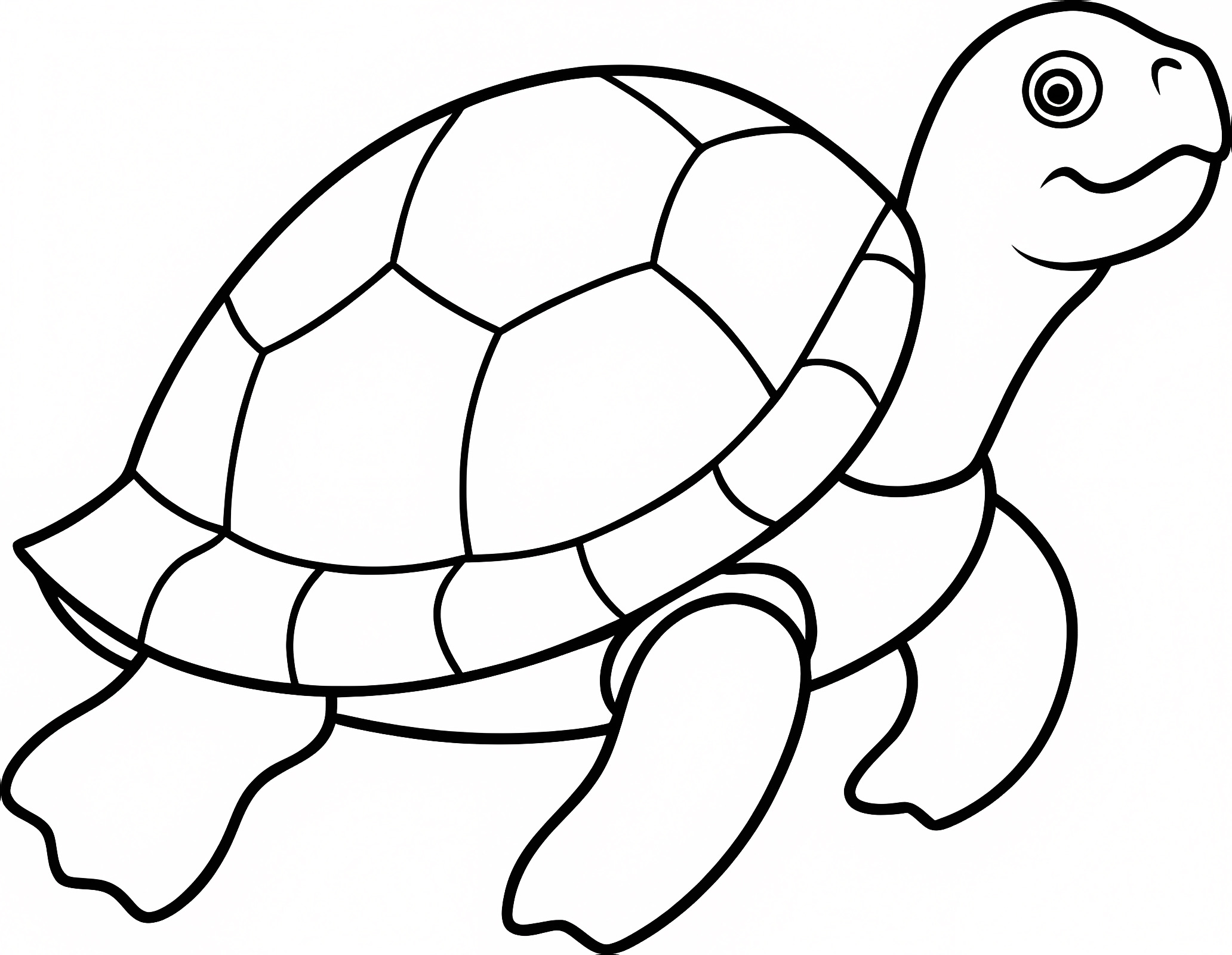 Tortue tranquille — Coloriage à imprimer gratuit